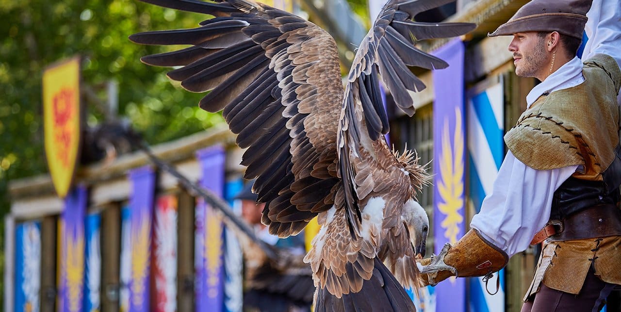 Le Bal des Oiseaux fantômes