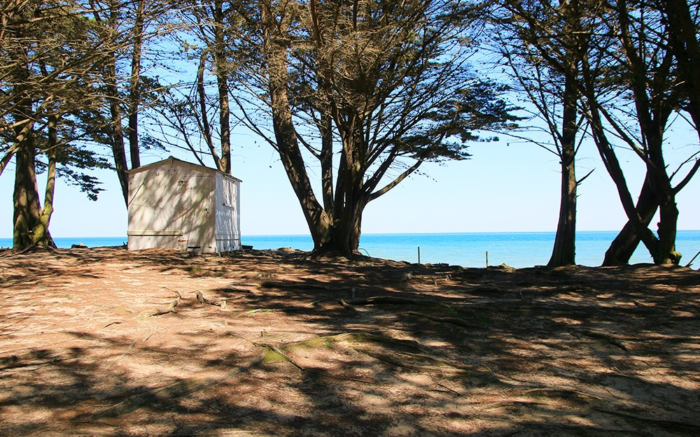 L’Île de Noirmoutier, Le Bois de la Chaise