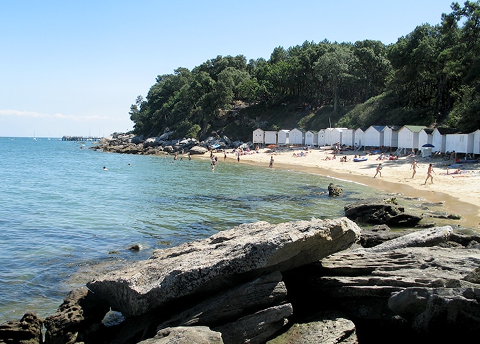 L’Île de Noirmoutier, Le Bois de la Chaise