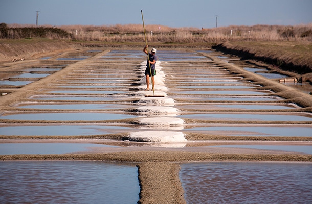 L’Île de Noirmoutier, Les marais salants