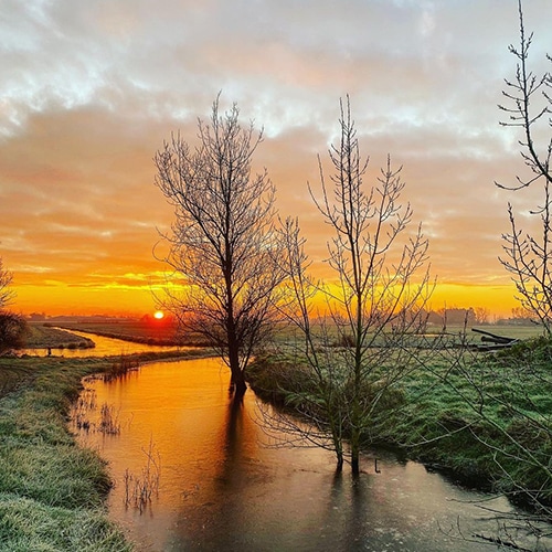 Coucher du soleil dans les marais