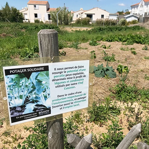 Vacances durables avec le potager solidaire