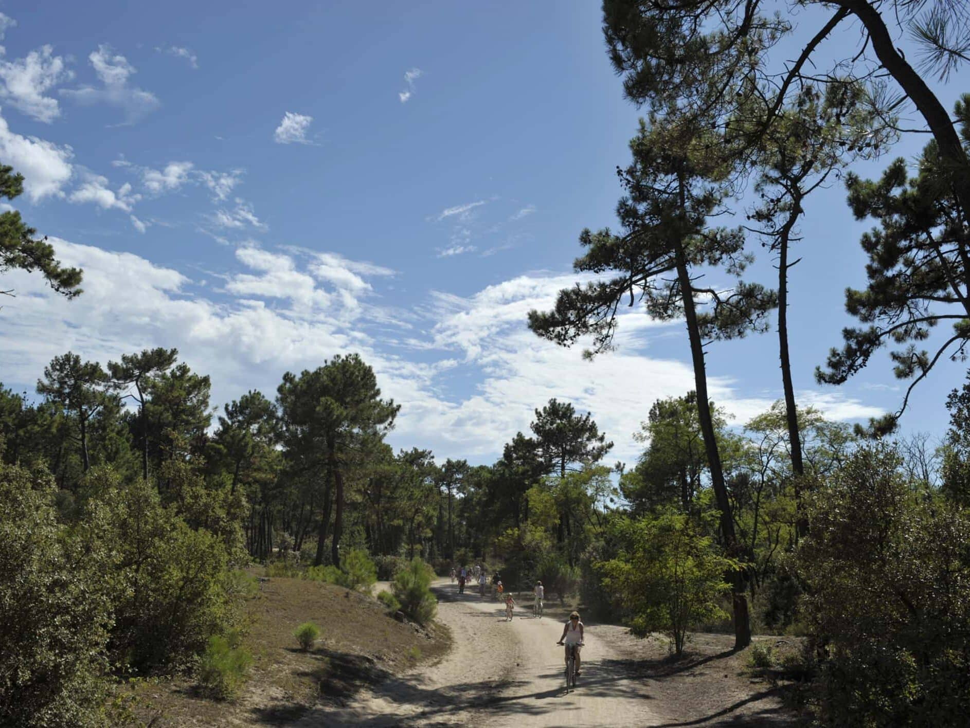 Forêt Saint-Jean-De-Monts sentiers 