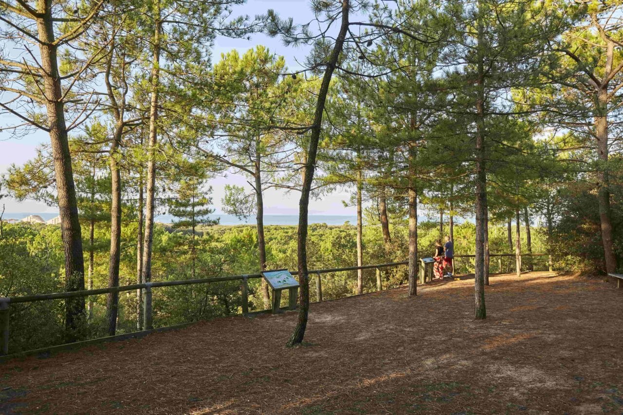 Forêt domaniale de Saint-Jean-De-Monts